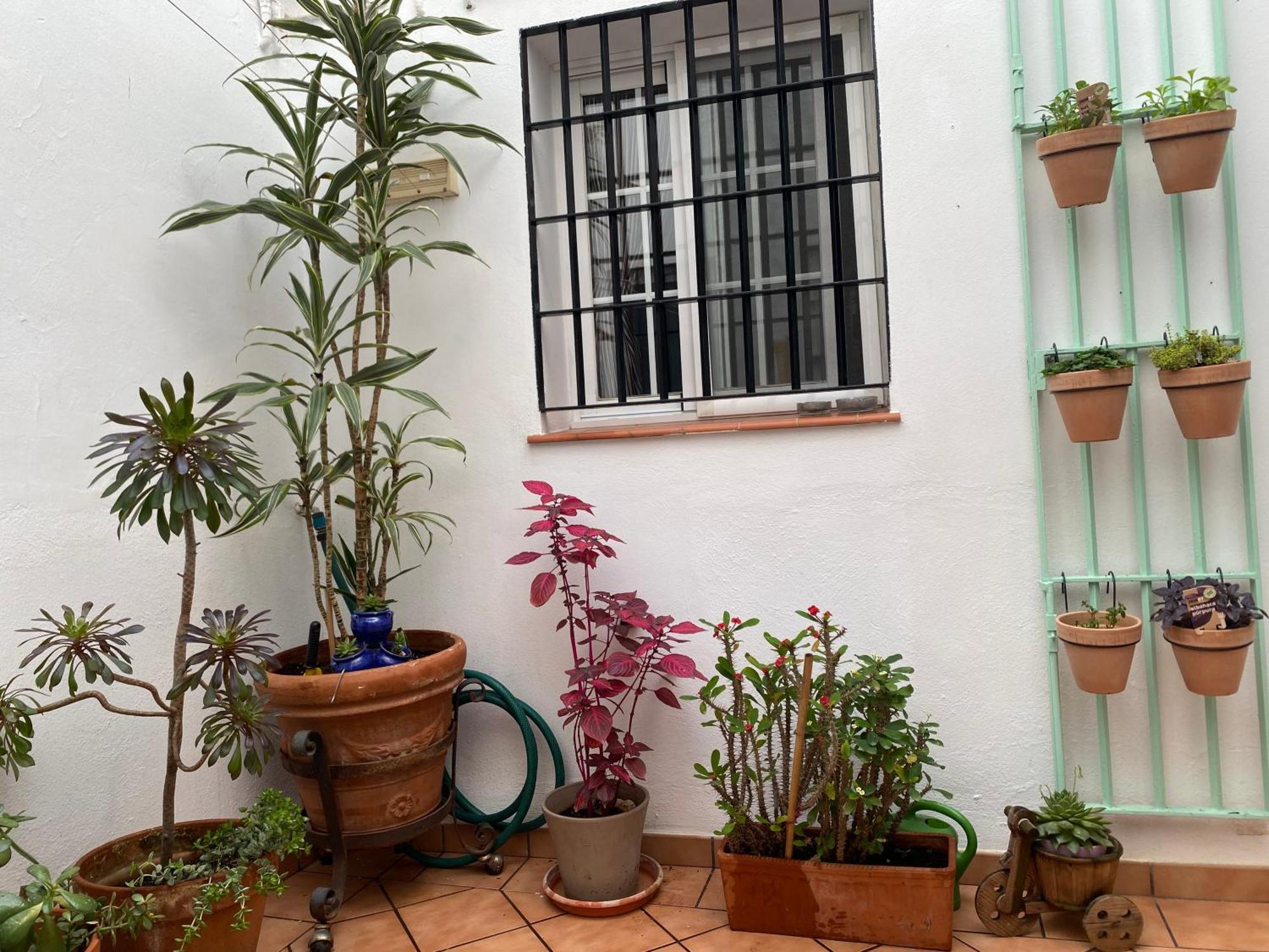 Enmitatiko Alcazar Viejo Διαμέρισμα Κόρδοβα Εξωτερικό φωτογραφία